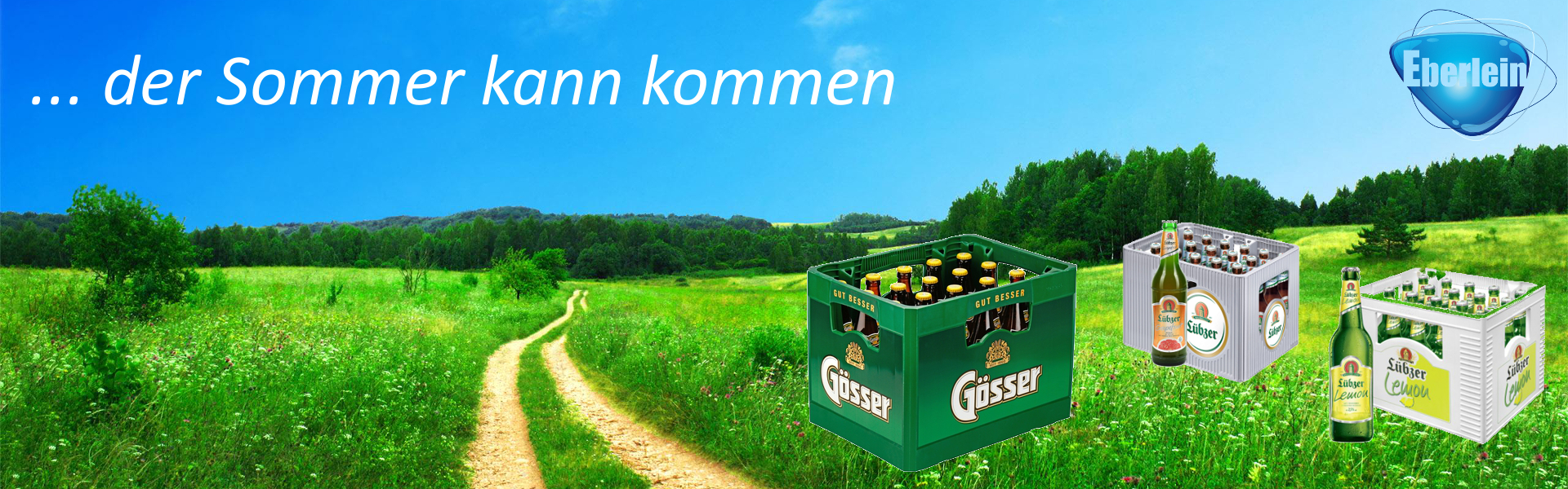 Biermix