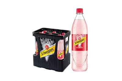 Schweppes Russian Wild Berry 6x1,0l