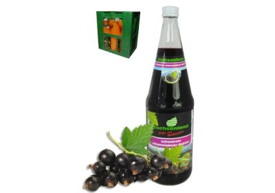 Sachsenland Wolkensteiner schwarze Johannisbeere 6x1,0l