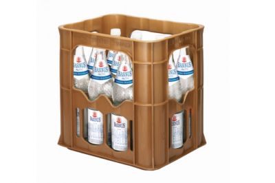 Basinus Mineralwasser aktiv (12x0,7l)