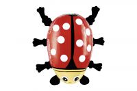 Riegelein Gl�cksk�fer (50g)