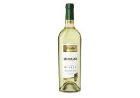 Freixenet Mederano Blanco Spanien wei ht (0,75l)