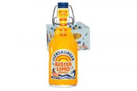Flensburger K�stenlimo Orange (20x0,33l)
