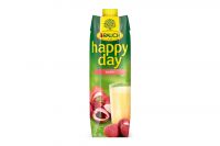 Rauch Happy Day Lychee Tetra Pak (1l)