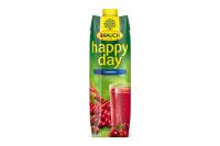 Rauch Happy Day Cranberry Tetra Pak (1l)