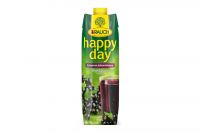 Rauch Happy Day Schw. Johannisbeere Tetra Pak (1l)