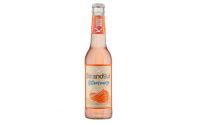 Strandgut Fruchtbrise Bitterorange (0,275l)