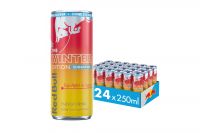 Red Bull Energy Winter Edition 2025 zuckerfrei (24x0,25l)